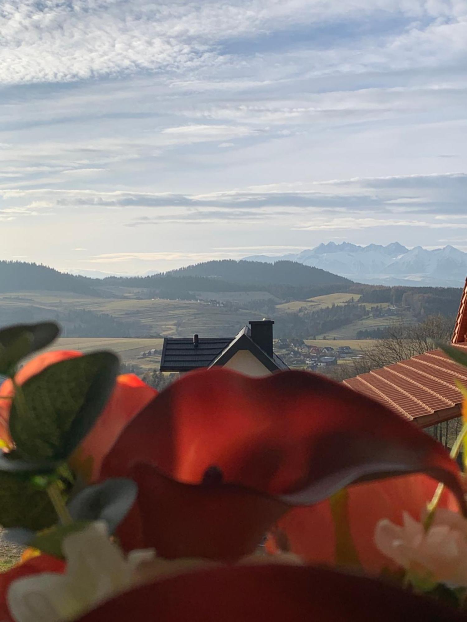 Aura Home Grywald Dış mekan fotoğraf